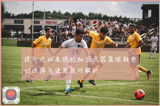 提升运动表现的秘密武器篮球鞋垫的选择与使用技巧解析